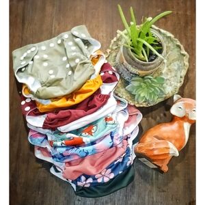 Nora's Nursery etc. cloth diaper bundle